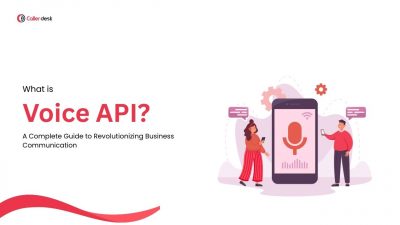 voice API